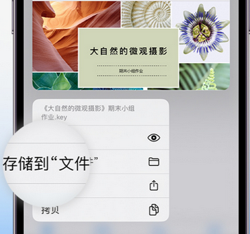 咸阳apple维修中心分享iPhone文件应用中存储和找到下载文件