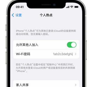 咸阳apple服务站点分享iPhone上个人热点丢失了怎么办 