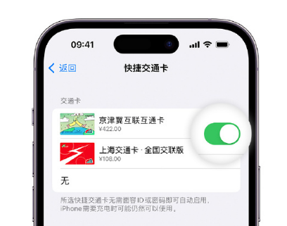 咸阳apple维修点分享iPhone上更换Apple Pay快捷交通卡手绘卡面 