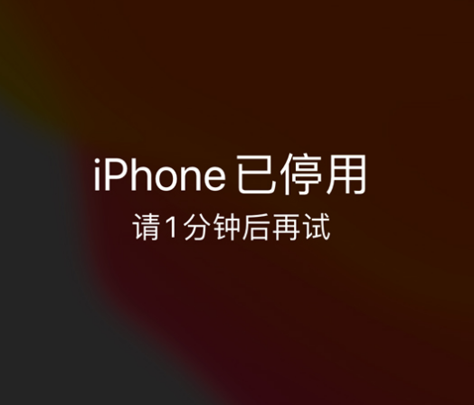 咸阳苹果手机维修分享:iPhone 显示“不可用”或“已停用”怎么办？还能保留数据吗？ 