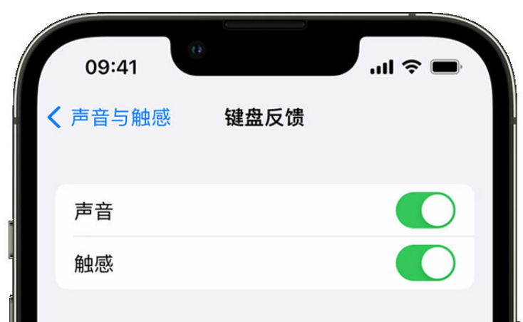 咸阳苹果手机维修分享iPhone 14触感键盘使用方法 