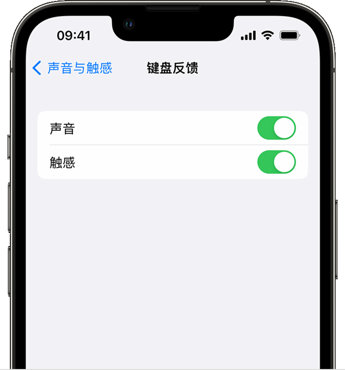 咸阳苹果14维修店分享如何在 iPhone 14 机型中使用触感键盘 