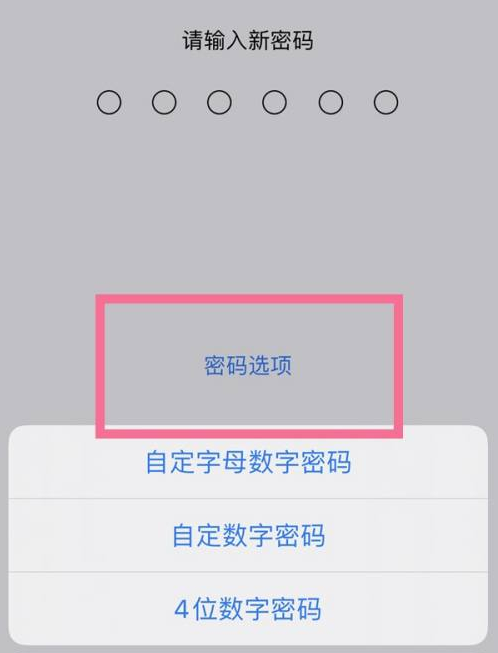 咸阳苹果14维修分享iPhone 14plus设置密码的方法 