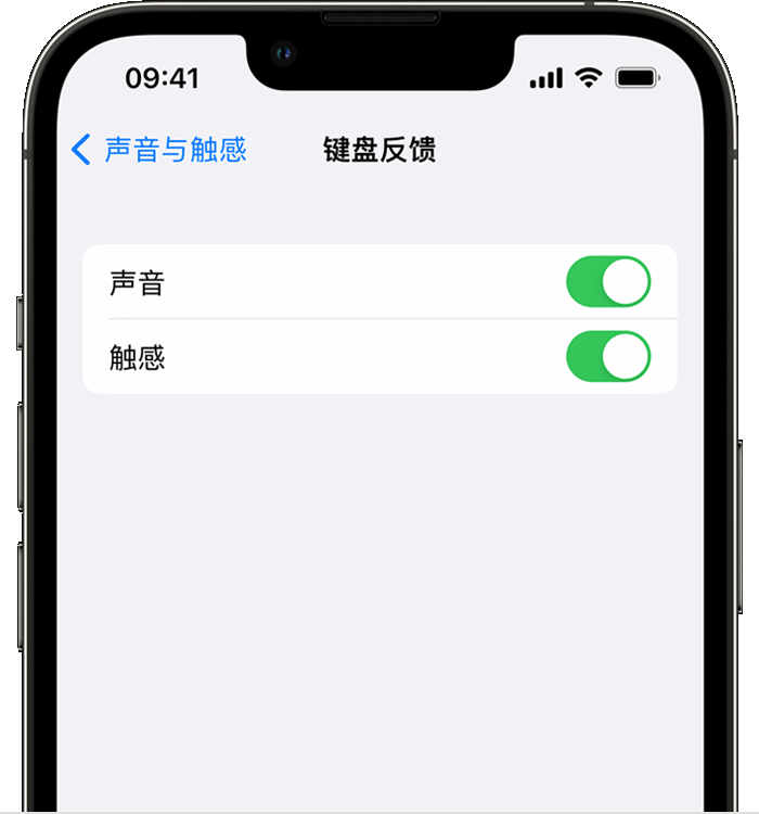 咸阳苹果14维修分享iPhone 14 系列机型如何开启键盘声音或触感反馈 