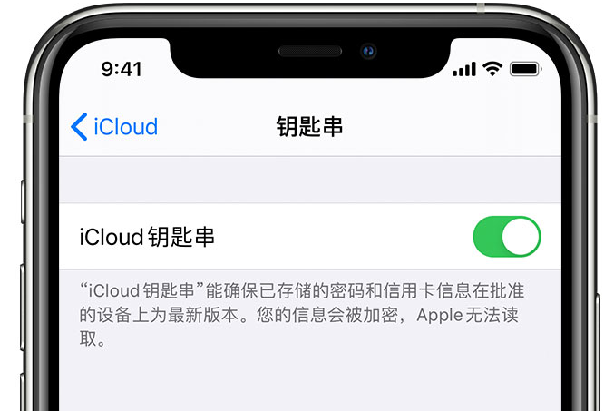 咸阳苹果手机维修分享在 iPhone 上开启 iCloud 钥匙串之后会储存哪些信息 