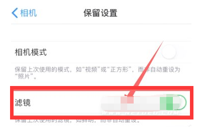 咸阳苹果13维修分享iPhone13拍照有绿点是怎么回事 