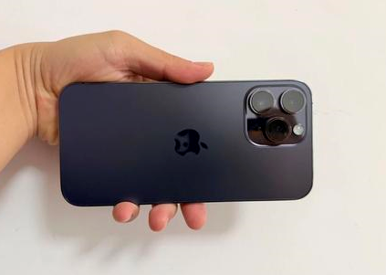 咸阳苹果维修点分享iPhone 14 Pro Max黑屏少见故障盘点 
